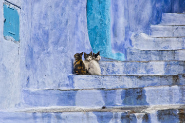 MARRUECOS FEZ CHAOUEN 