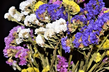 Multy colored dry flowers