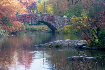 Gapstow Bridge in Central Park