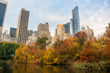 Fototapeta na wymiar Skyline from Central Park