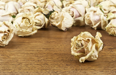 torn flowers roses