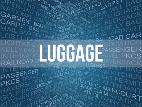 Luggage
