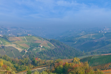 Fototapeta premium View on vineyards and small houses on the hill in Piedmont, Italy