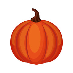 pumpkin thanksgiving food icon vector illustration design