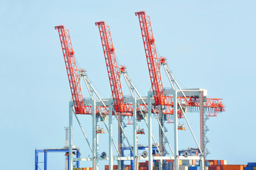 Port cargo crane and container