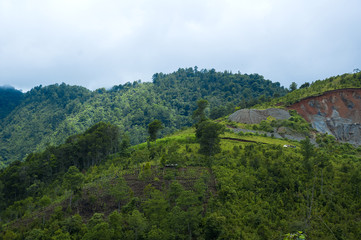 Obraz premium Foggy summer morning in the green mountains. landscape in Guatemala, Alta Verapaz.