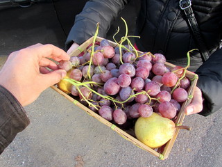 Offrire frutta di stagione: uva e pere