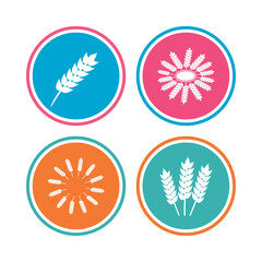 Agricultural icons. Gluten free or No gluten signs. Wreath of Wheat corn symbol. Colored circle buttons. Vector