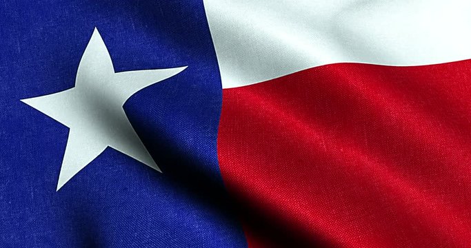 waving fabric texture of the flag with blue and red color of nation texas, nation of the usa, united states 3d animation
