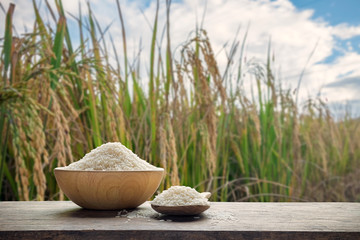 Fototapeta na wymiar White rice or uncooked white rice in wooden bowl and wooden spoon with the terraced rice field background 