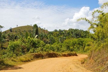 Dusty safari road in Madagascar