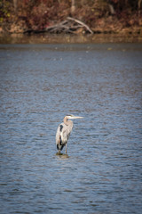 Heron Smithville Park