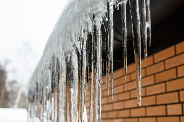 Icicles hang from the roof and dripping  them. Spring.
