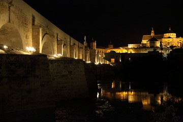 Cordoba, Mezquita Cathedral at night
