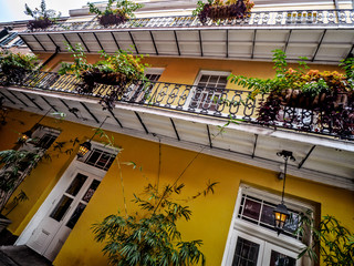 Yellow Building with White Doors French Quarter