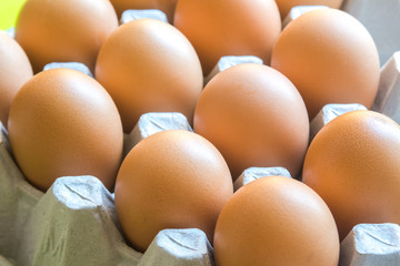 close up eggs from chicken in the package