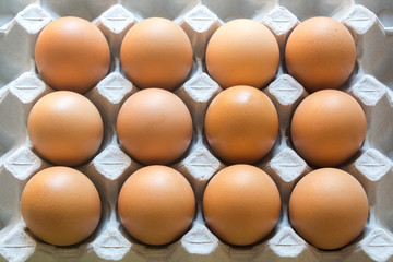 close up eggs from chicken in the package