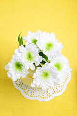Fototapeta na wymiar White chrysanthemum flowers with green core on yellow tablecloth