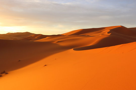 サハラ砂漠 © kapi