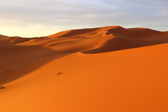 サハラ砂漠 © kapi