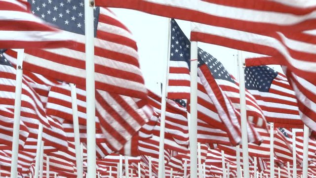 United States of America flags fill the frame as they blow in the wind, saluting fallen soldiers, real time with sound.