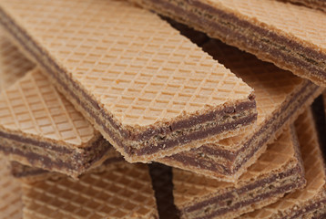 Wafer closeup on white
