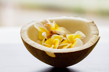 coconut and Plumeria flower
