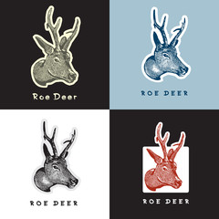 Isolated vector images of  Head Roe Deers. Graphic logo in engraving style. Illustration for the hunt theme or zoo. 