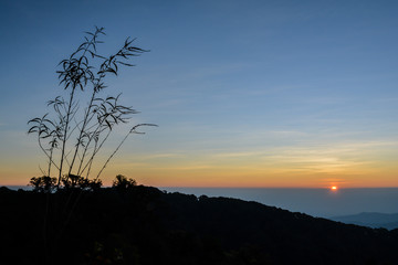 Silhouette tree with mountain view and sunrising sky.