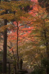 石像が見守る紅葉道