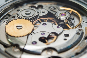 Detail of watch machinery on the table.