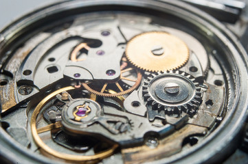 Detail of watch machinery on the table.