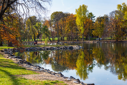 Park Lake Pond in Fall