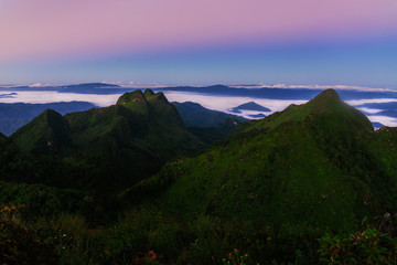 Mountain Mist in sunrise.