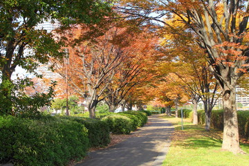 Naklejka premium 辰巳の森海浜公園