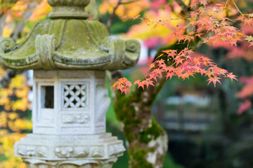 buttsuji is a temple famous for colored leaves.