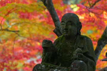 buttsuji is a temple famous for colored leaves.