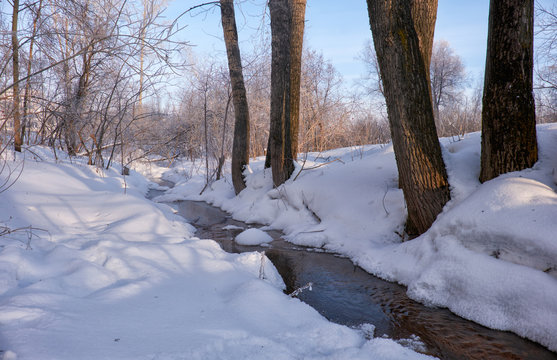 Small winter stream among poplar trees under snow in winter