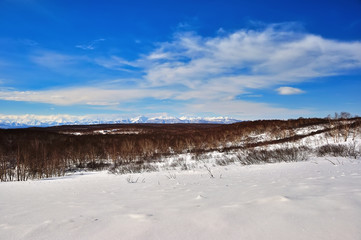 Winter park in snow