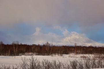 Winter park in snow