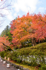 滋賀県　石山寺の紅葉