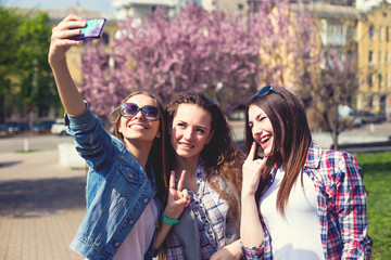 Young happy teenage girls making selfie and having fun in summer park
