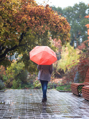 Young woman with umbrella in beautiful autumn park.