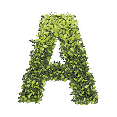 Alphabet of green leaves collection. Vector illustration.