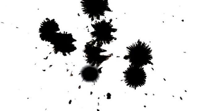 Dripping spreads black ink with splashing drops on white background close-up HD 1080. Abstract creative background. Black isolated drops on white background. Black drops dripping from spray to surface