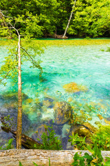 Kamikochi Turquoise Azusa River Water Nature V