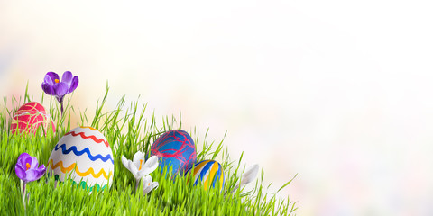 Easter Card with Eggs and Flowers