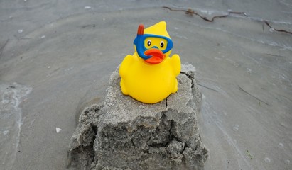 Obraz premium Plastikente am Strand