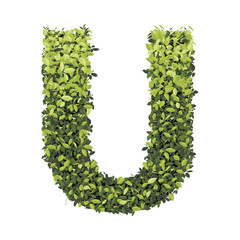 Alphabet of green leaves collection. Vector illustration.