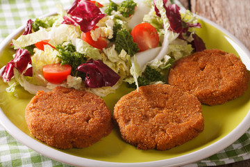 Diet Food: Carrot cutlets with fresh vegetable salad close-up. Horizontal